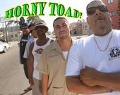 The Official Horny Toad!!! page profile picture