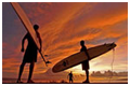Maui Surf Report profile picture