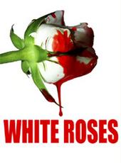 white roses profile picture