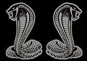 two cobras magick profile picture