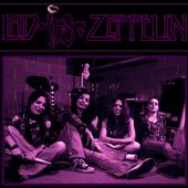 Ladies Zeppelin profile picture