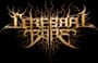 CEREBRAL BORE are fucking off to America in 6 wks! profile picture