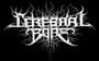 CEREBRAL BORE are fucking off to America in 6 wks! profile picture