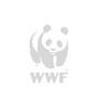 WWF profile picture