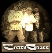 Crazy Grass profile picture