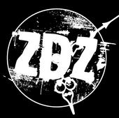 ZDZ (ZeugenDerZeit) profile picture