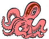 cycloptopus profile picture