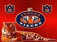 auburn profile picture