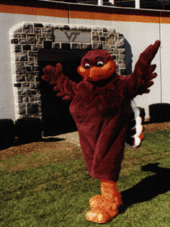 Hokie Bird profile picture