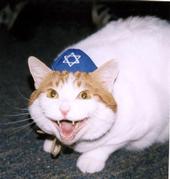 ♥ LOL JEWS ♥ profile picture