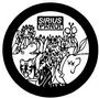 The Sirius Pandi Label (petit label sympa) profile picture