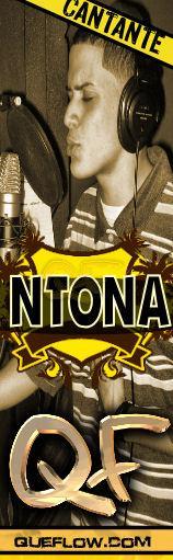 NTONA profile picture