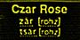 Czar Rose profile picture