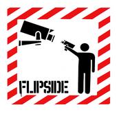 Flipside Film Fest profile picture