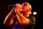 ANDY / TRONIK profile picture