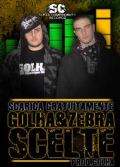 GOLHA - SCELTE CON ZEBRA FUORI ORA!! profile picture