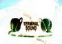 Terminal Sound profile picture