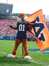 Aubie profile picture