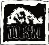 DORSAL(e) profile picture