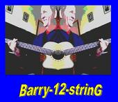 Barry-12-String profile picture