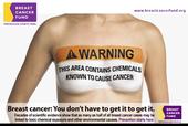 Breast Cancer Fund profile picture