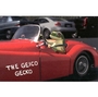 Geico Gecko profile picture