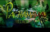 PACHAMAMA REGGAE profile picture