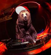 DJ BEAR profile picture