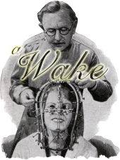 A Wake profile picture