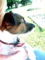 Kate profile picture