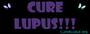 Cure4Lupus.org profile picture