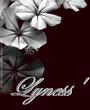 Lyness profile picture