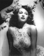 SENORITA HOLLYWOOD / SKIRT CHASER VINTAGE profile picture