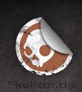 Skullcandy profile picture