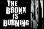 THE BRONX IS BURNING profile picture