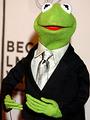 kermit profile picture