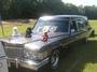 Just Hearse'N Around profile picture