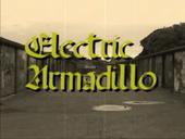 Electric Armadillo profile picture