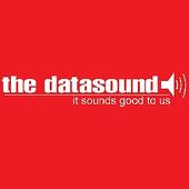 The Datasound Podcast profile picture