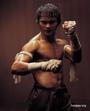 TONY JAA FANSITE profile picture