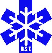 darien ski team profile picture