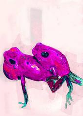 Dart Frog profile picture