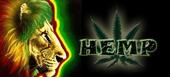 HEMP ska and reggae oax. profile picture