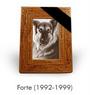 Forte Animal Rescue profile picture