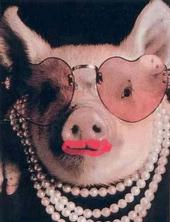 Pig in lipstick profile picture