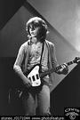 Mick Taylor profile picture