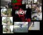 the Anarchy teamâ„¢ profile picture