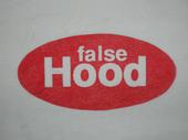 falsehood profile picture