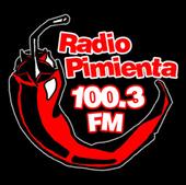 Radio Pimienta 100.3 fm profile picture