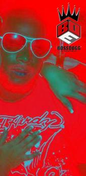 BossDogg ENT/ REAL LIFE MUSIC CORP. profile picture